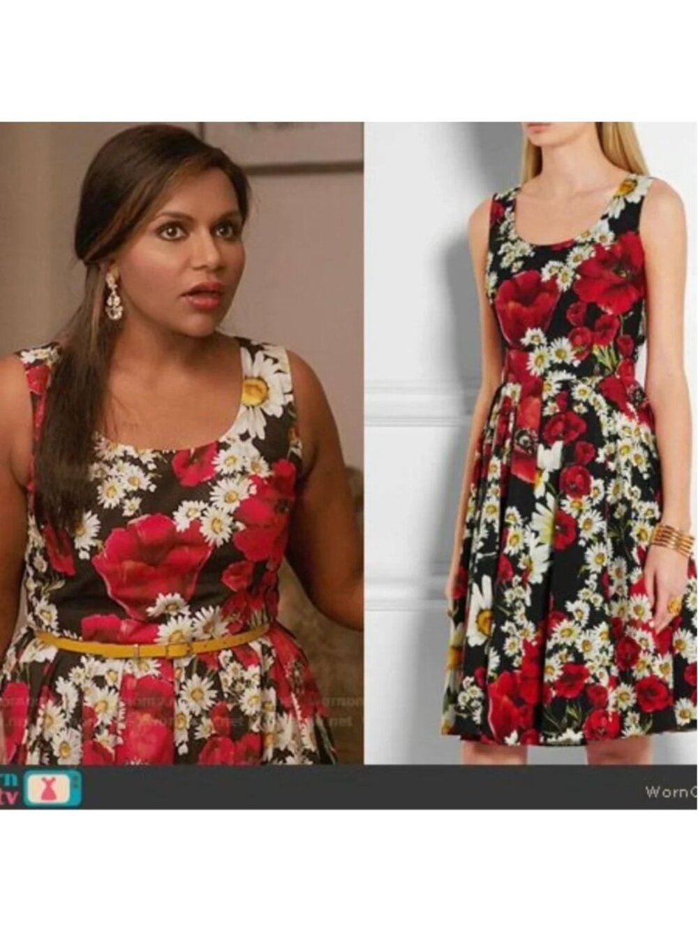 Dolce & Gabbana Floral Sleeveless Cotton A-Line Dress IT 44 MSRP $1250